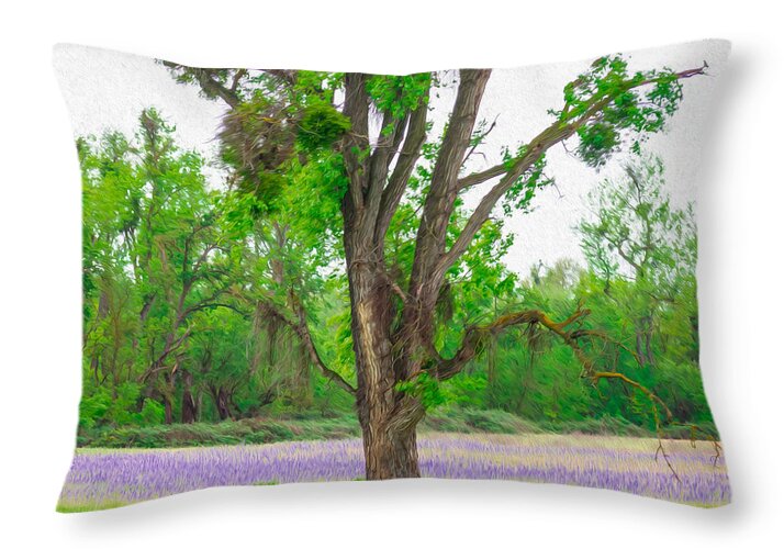 Lavender Flowers Landscape 3 - Throw Pillow