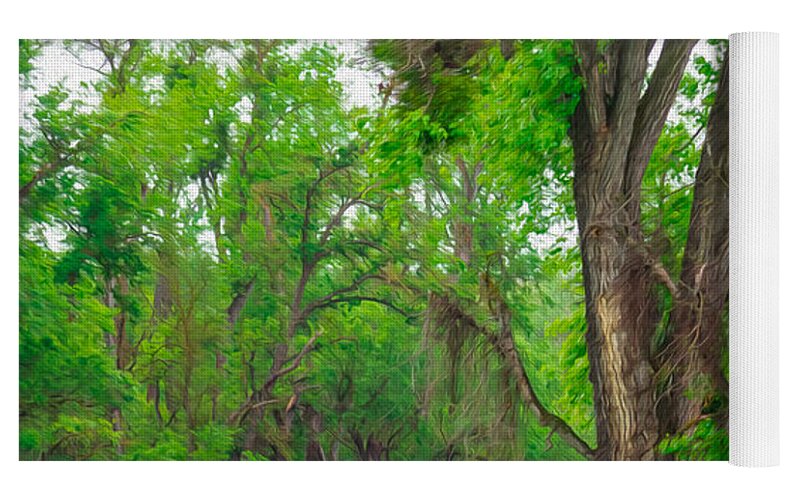 Lavender Flowers Landscape 3 - Yoga Mat