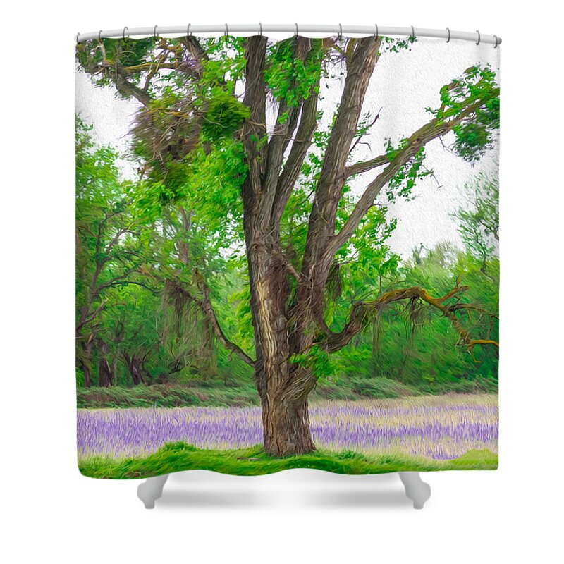 Lavender Flowers Landscape 3 - Shower Curtain
