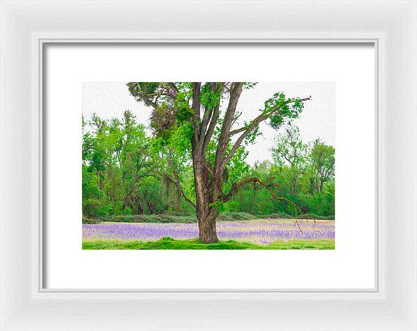 Lavender Flowers Landscape 3 - Framed Print