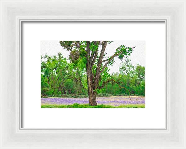Lavender Flowers Landscape 3 - Framed Print