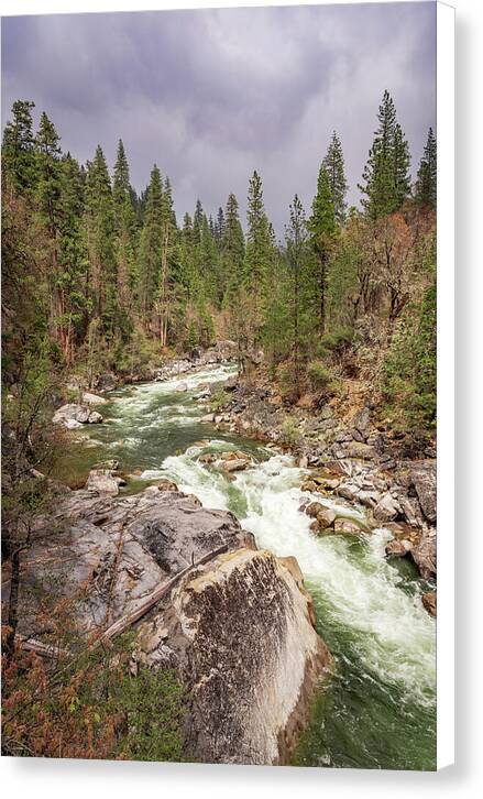 Calaveras Big Trees State Park River 5 - Canvas Print