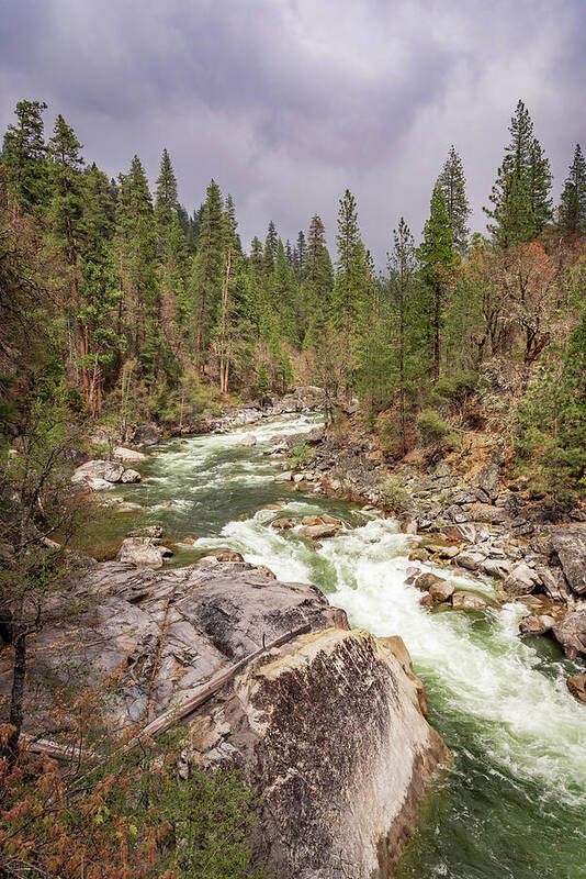 Calaveras Big Trees State Park River 5 - Art Print