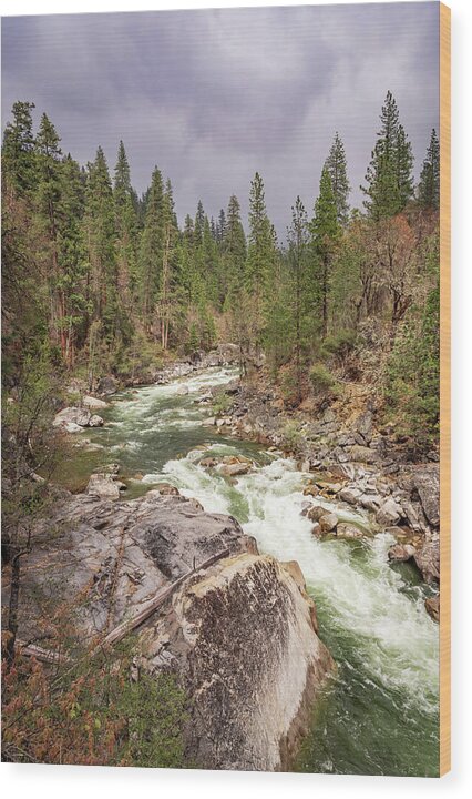 Calaveras Big Trees State Park River 5 - Wood Print
