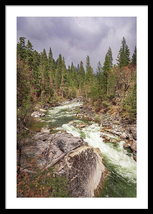 Calaveras Big Trees State Park River 5 - Framed Print