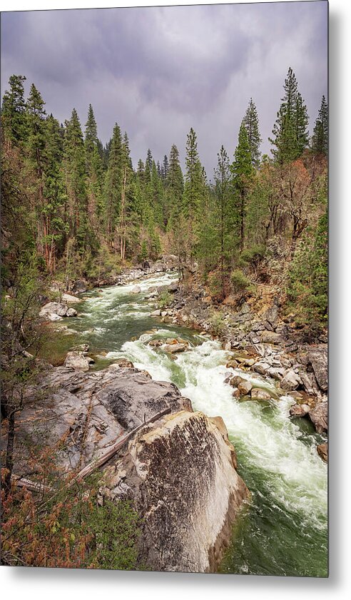 Calaveras Big Trees State Park River 5 - Metal Print