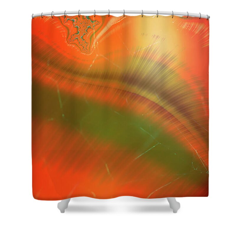 Abstract Oranges and Greens - Shower Curtain