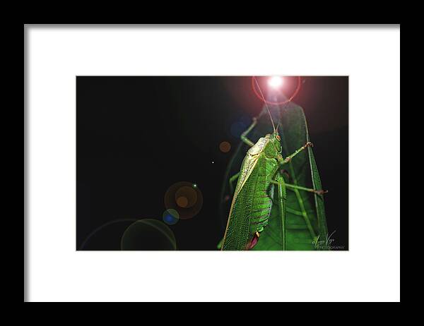 Adult Caedicia Walking into the Lens Flare - Framed Print
