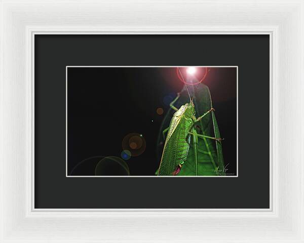 Adult Caedicia Walking into the Lens Flare - Framed Print