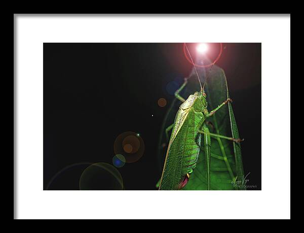 Adult Caedicia Walking into the Lens Flare - Framed Print