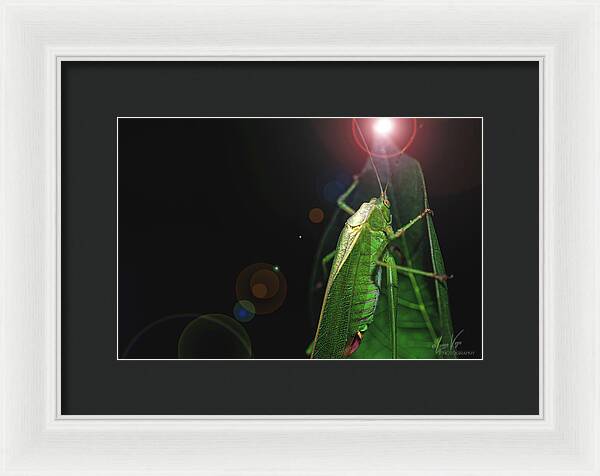 Adult Caedicia Walking into the Lens Flare - Framed Print