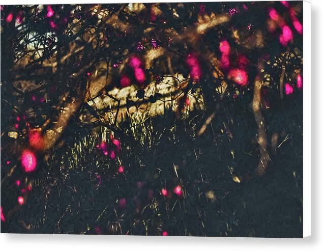 Artistic Blurs of Pink Flowers - Canvas Print