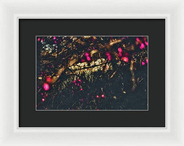 Artistic Blurs of Pink Flowers - Framed Print