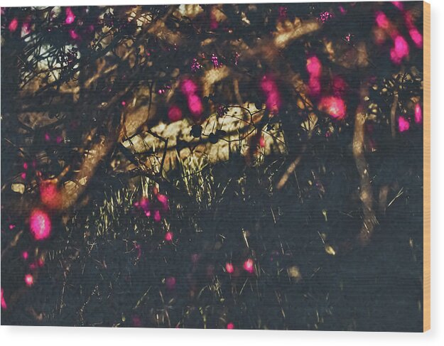 Artistic Blurs of Pink Flowers - Wood Print