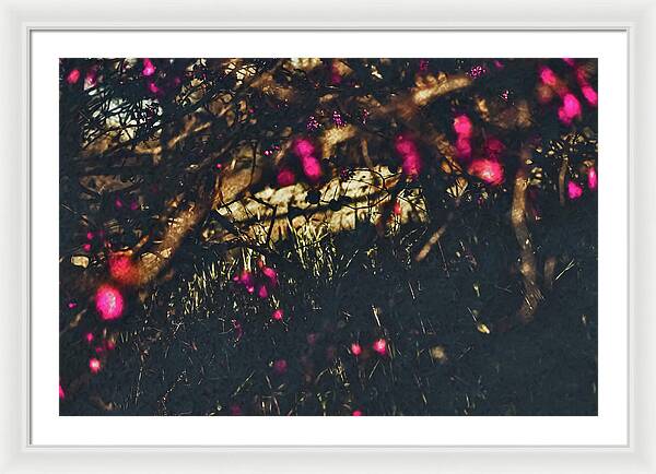 Artistic Blurs of Pink Flowers - Framed Print