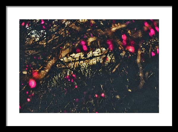 Artistic Blurs of Pink Flowers - Framed Print