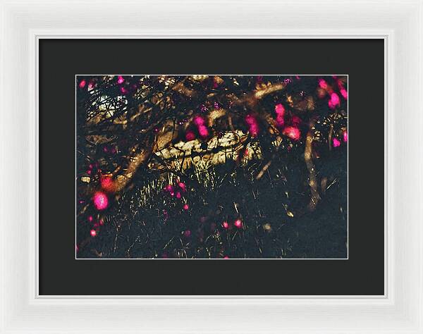 Artistic Blurs of Pink Flowers - Framed Print