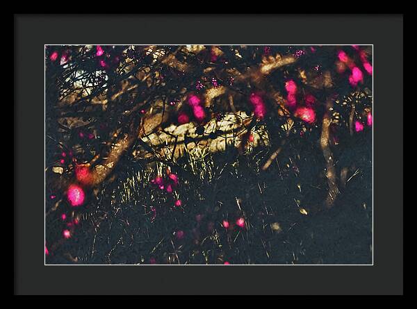 Artistic Blurs of Pink Flowers - Framed Print