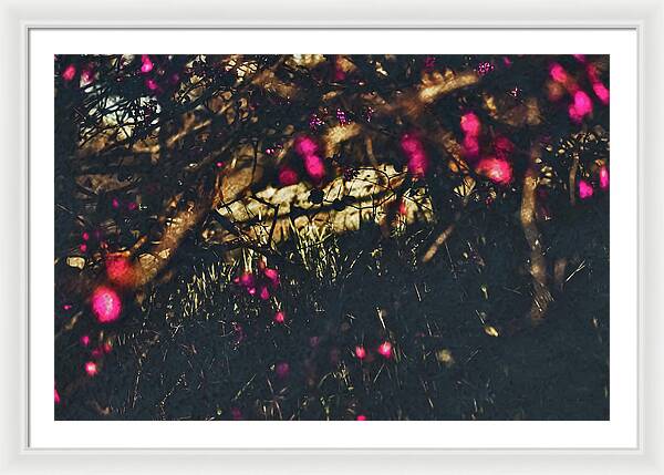 Artistic Blurs of Pink Flowers - Framed Print