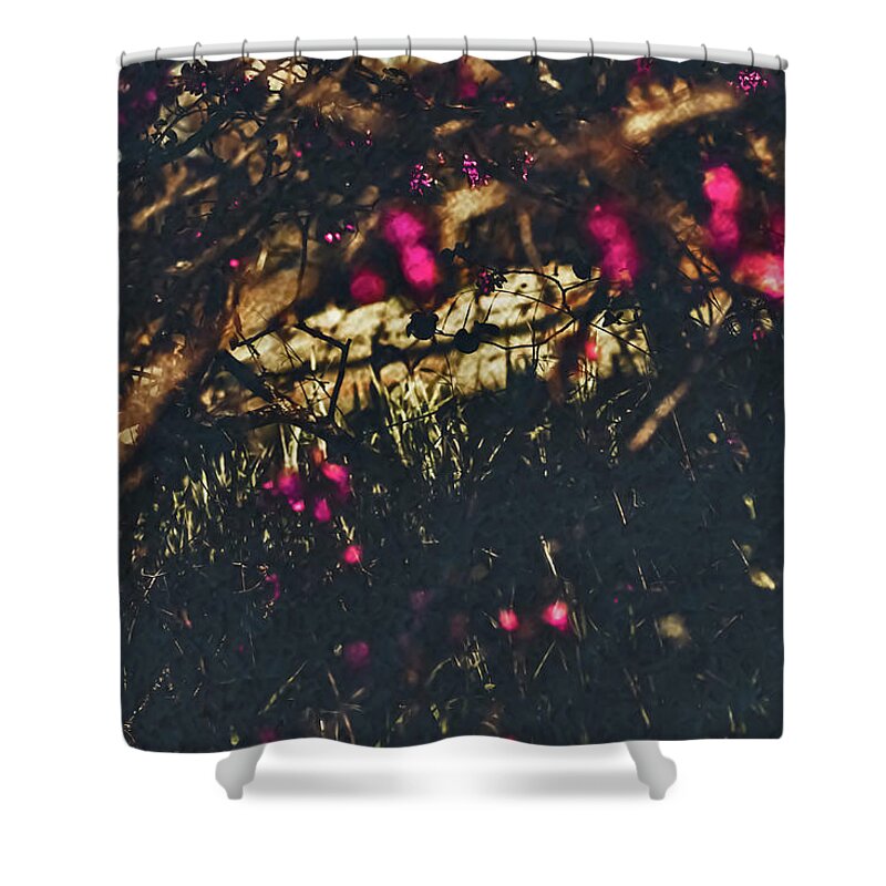 Artistic Blurs of Pink Flowers - Shower Curtain
