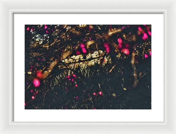 Artistic Blurs of Pink Flowers - Framed Print