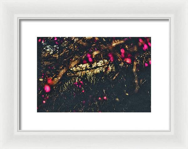Artistic Blurs of Pink Flowers - Framed Print