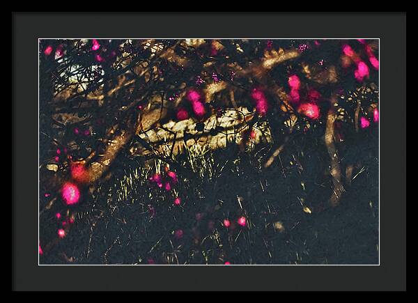 Artistic Blurs of Pink Flowers - Framed Print
