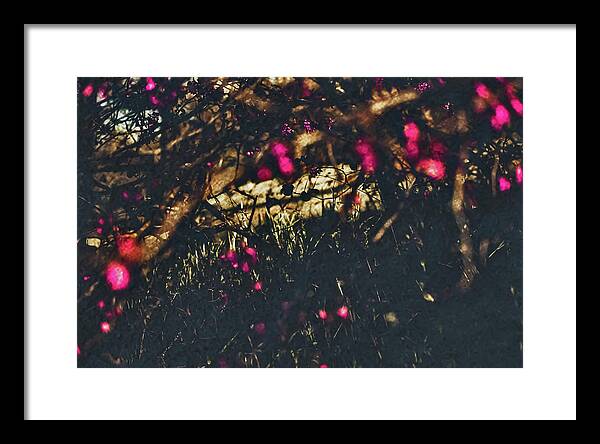 Artistic Blurs of Pink Flowers - Framed Print