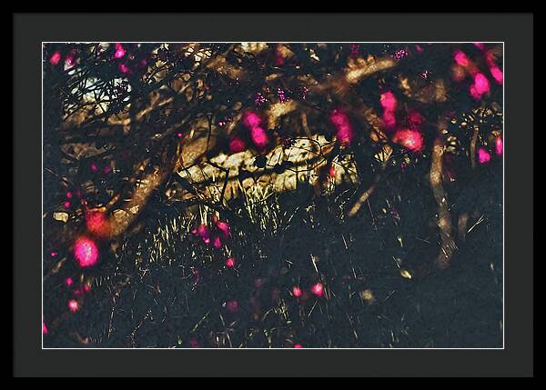 Artistic Blurs of Pink Flowers - Framed Print