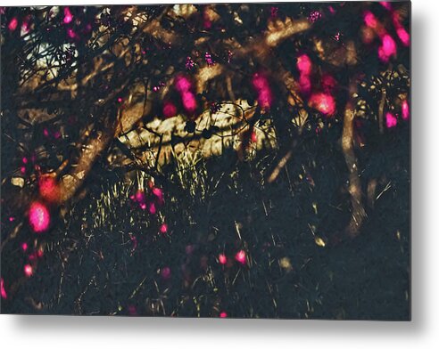 Artistic Blurs of Pink Flowers - Metal Print