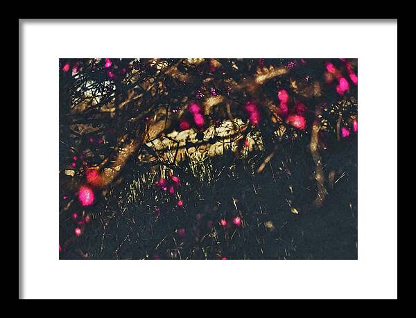 Artistic Blurs of Pink Flowers - Framed Print