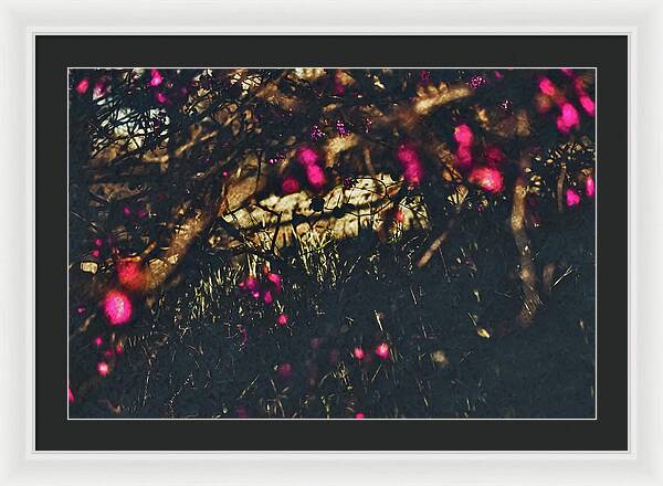 Artistic Blurs of Pink Flowers - Framed Print