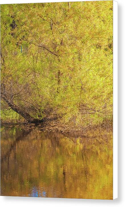 Autumn Reflections on a Quiet Lake - Canvas Print