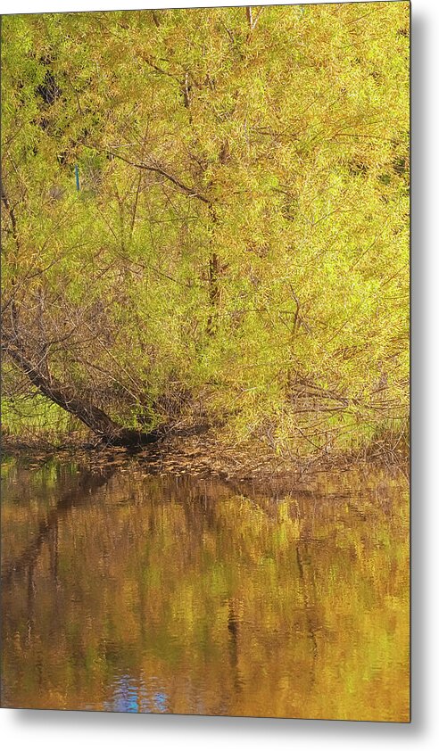 Autumn Reflections on a Quiet Lake - Metal Print