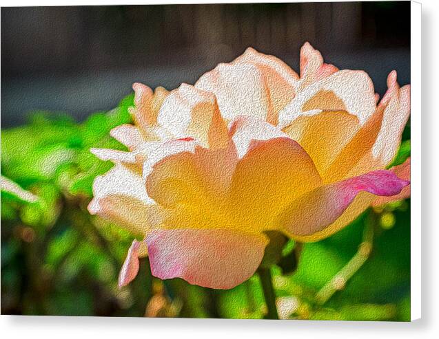 Beautiful Glowing Rose Art - Canvas Print