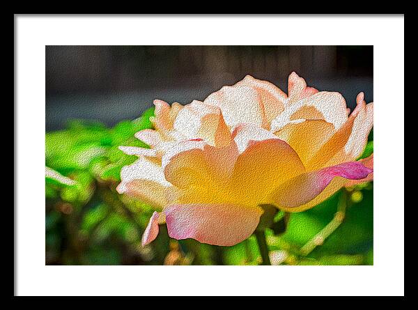 Beautiful Glowing Rose Art - Framed Print