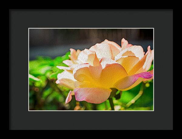 Beautiful Glowing Rose Art - Framed Print