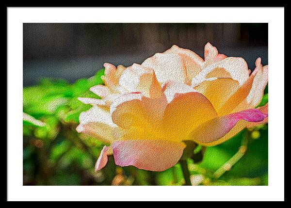 Beautiful Glowing Rose Art - Framed Print