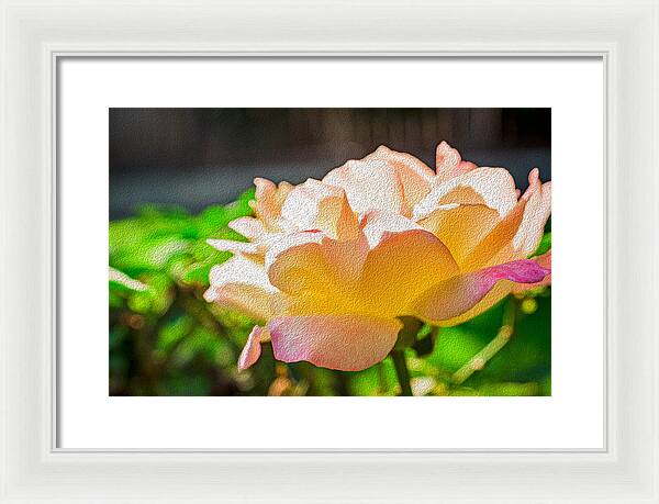Beautiful Glowing Rose Art - Framed Print