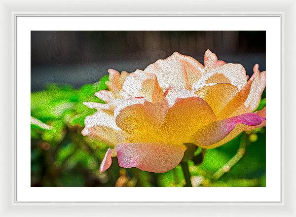 Beautiful Glowing Rose Art - Framed Print