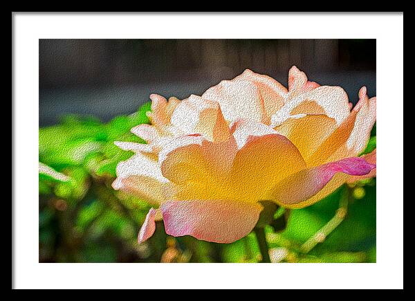 Beautiful Glowing Rose Art - Framed Print