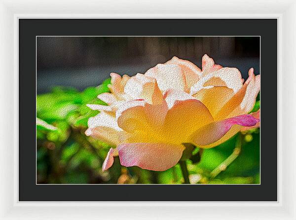 Beautiful Glowing Rose Art - Framed Print
