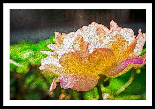 Beautiful Glowing Rose Art - Framed Print