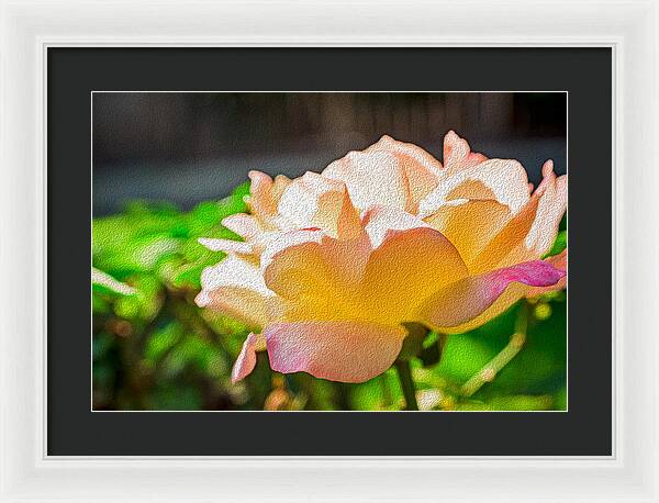 Beautiful Glowing Rose Art - Framed Print