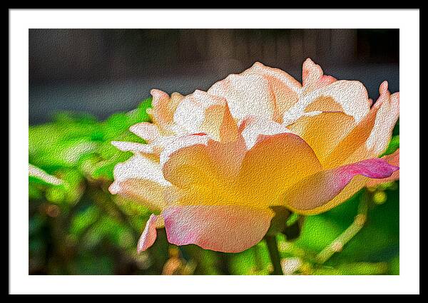 Beautiful Glowing Rose Art - Framed Print
