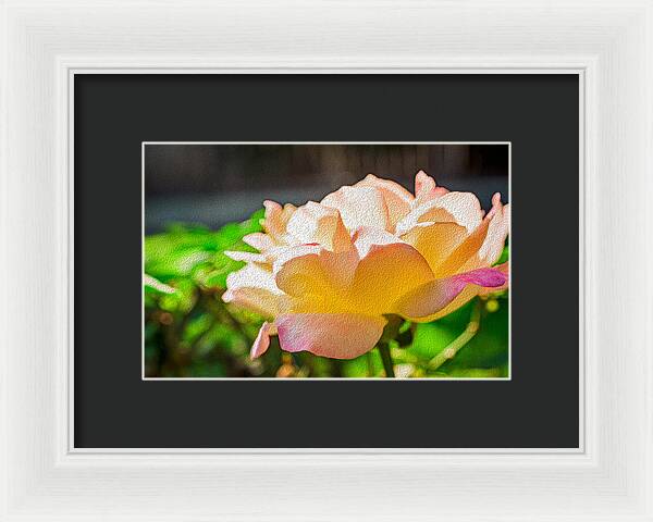 Beautiful Glowing Rose Art - Framed Print