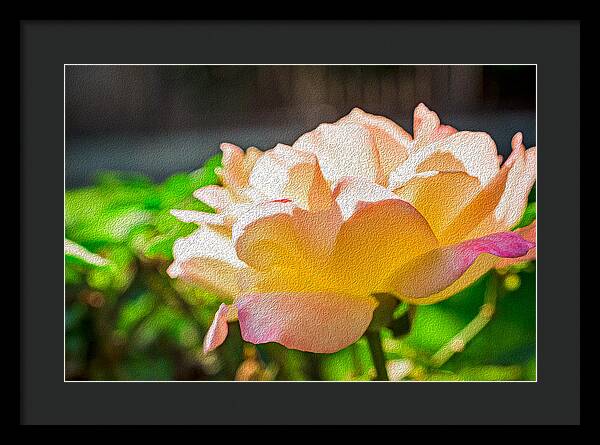 Beautiful Glowing Rose Art - Framed Print