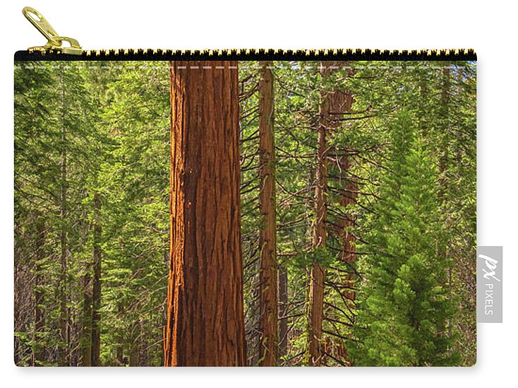 Beauty in a Forest - Zip Pouch