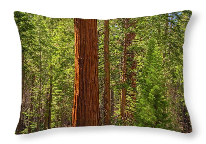 Beauty in a Forest - Throw Pillow