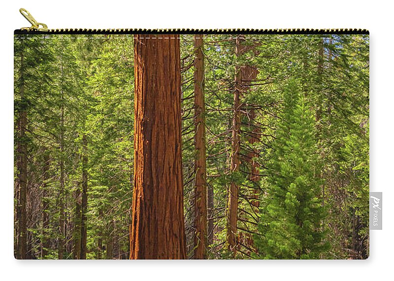Beauty in a Forest - Zip Pouch